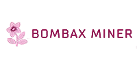 BOMBAX MINER